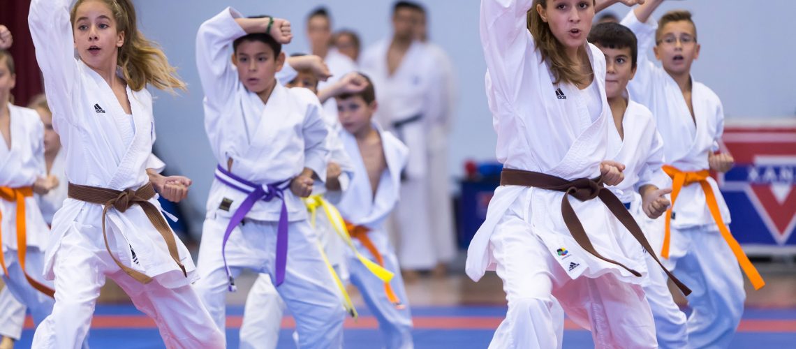 6 Amazing Facts about Judo